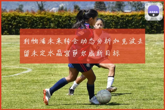 利物浦未来转会动态分析加克波去留未定水晶宫萨尔成新目标
